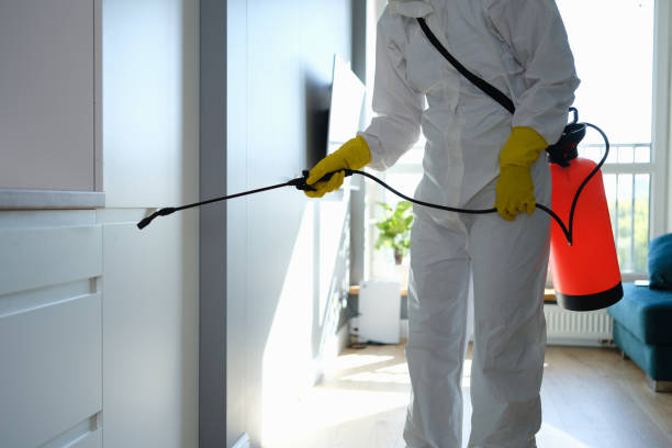 Best Residential Mold Removal  in Luxemburg, WI