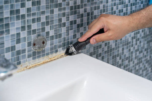 Best Mold Removal and Inspection  in Luxemburg, WI
